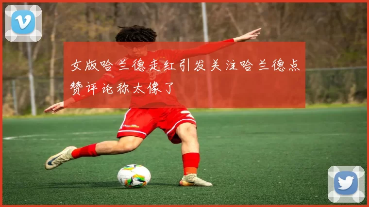 女版哈兰德走红引发关注哈兰德点赞评论称太像了