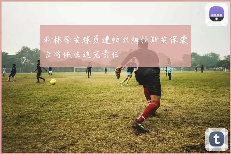 科林蒂安球员遭帕尔梅拉斯安保袭击将依法追究责任