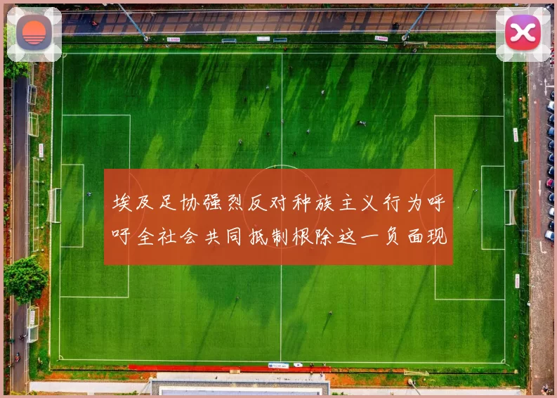 埃及足协强烈反对种族主义行为呼吁全社会共同抵制根除这一负面现象